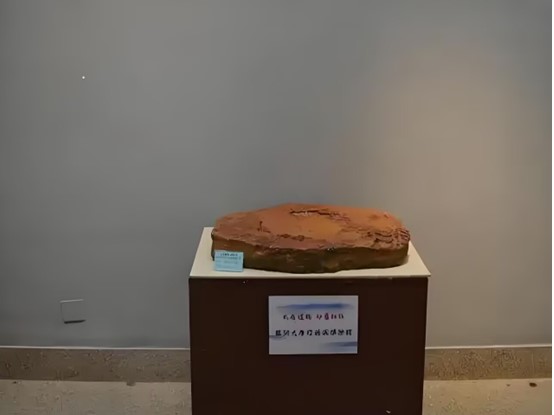 ���M�R�Դ��Ʋ����^ ̽�ؼt�z���Ļ�����