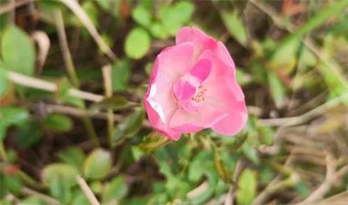 ֲ�����B����ˎ���أ��x�܌W���ጣ�I���B������h������W������ˎ2101�F֧���������}���