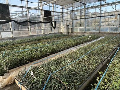 ̽������һ�~��Ķ������L�ǻ�