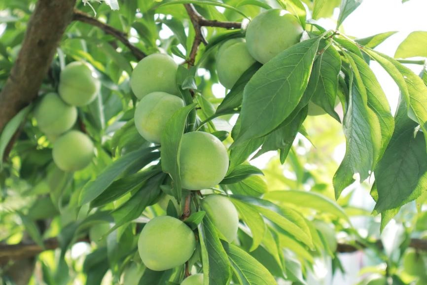 �®����h�����r����