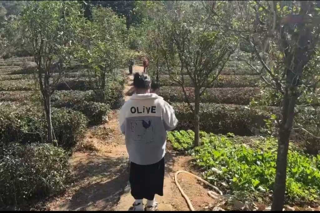 ��ɽ��퍣���ƽ��@����l�����d����