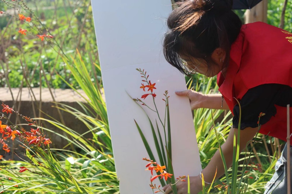 ����(�DƬʮ)