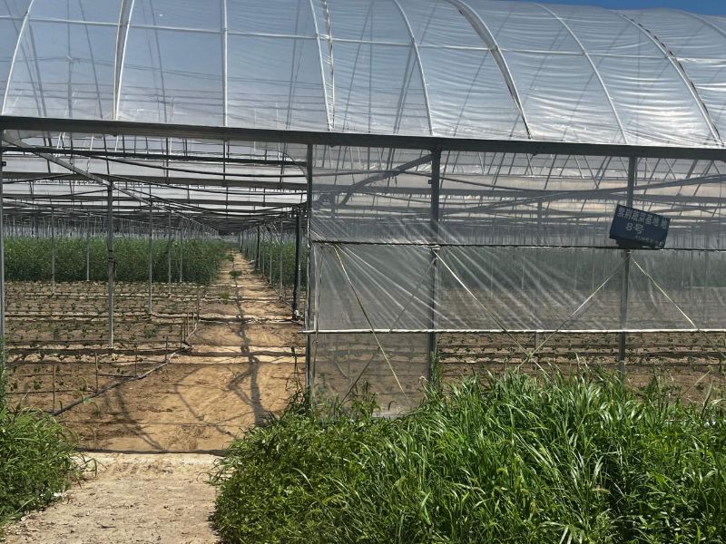 �ǻ��r(n��ng)�I(y��)�����l(xi��ng)�����d���߲˻����{(di��o)�мo��