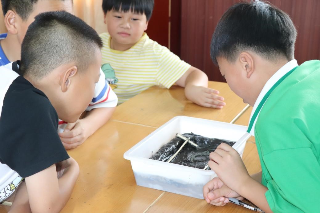 ����W(xu��)��׌�����z�����}���n���ϻ�����