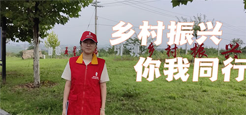 �tɫ���񡰸����l�壬���d���`������