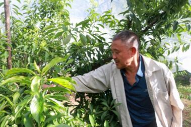 ��ɽ��ˮ�����l�����d������