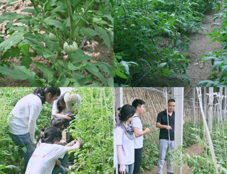 ̤�L����������̽�ط���ů�� �������܌WԺ���}�I�L�����F� 2025�����ڡ������l��������`��