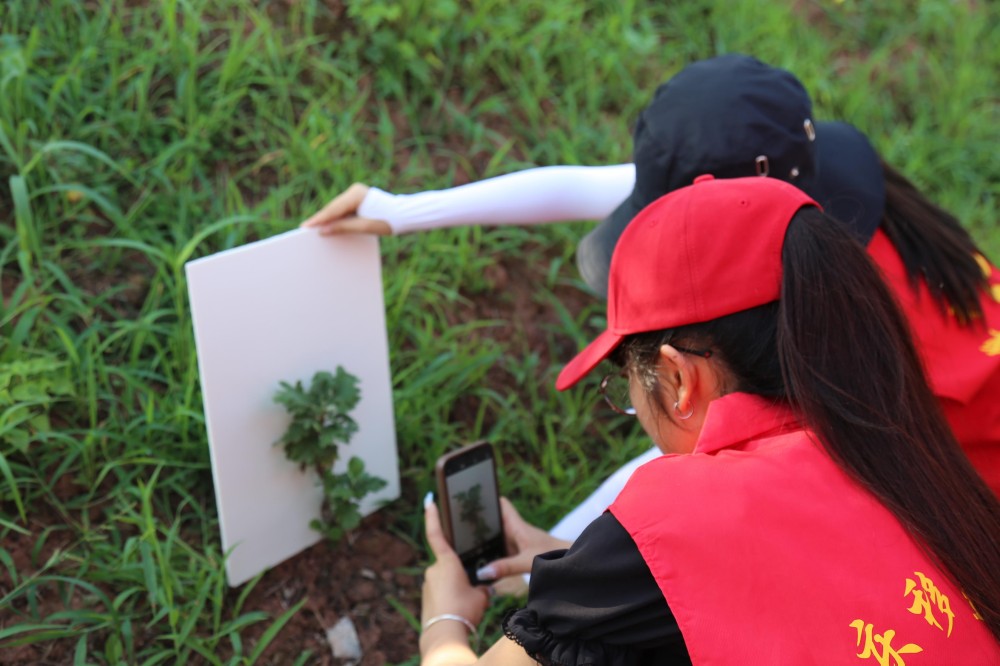 ����(�DƬ��)