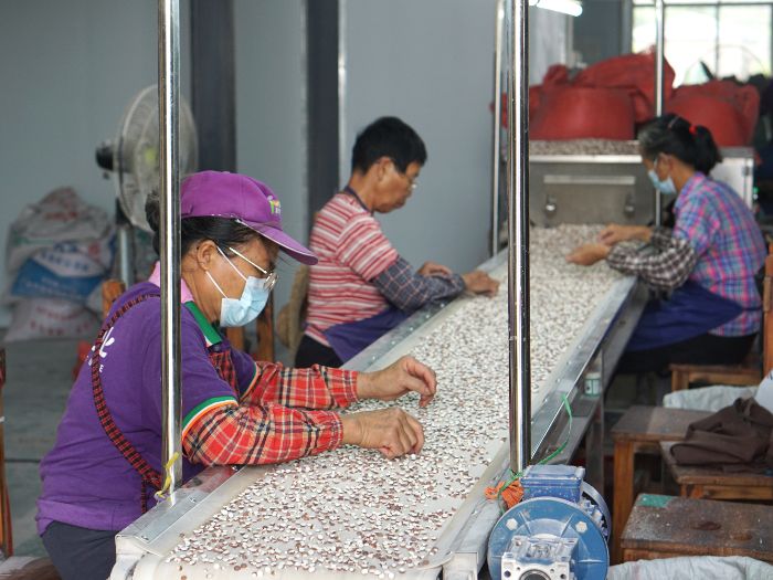 �ഺ�����������`���� �ؑc�WԺͻ���꠆T̽���l��a�I���d�ܴa