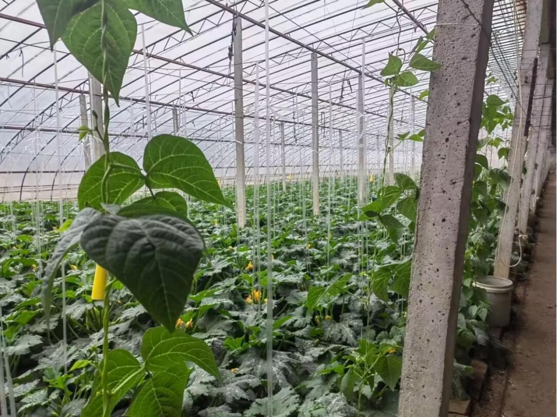 ���｛�������l�����d �Gɫģʽ�`�д�ʳ���^