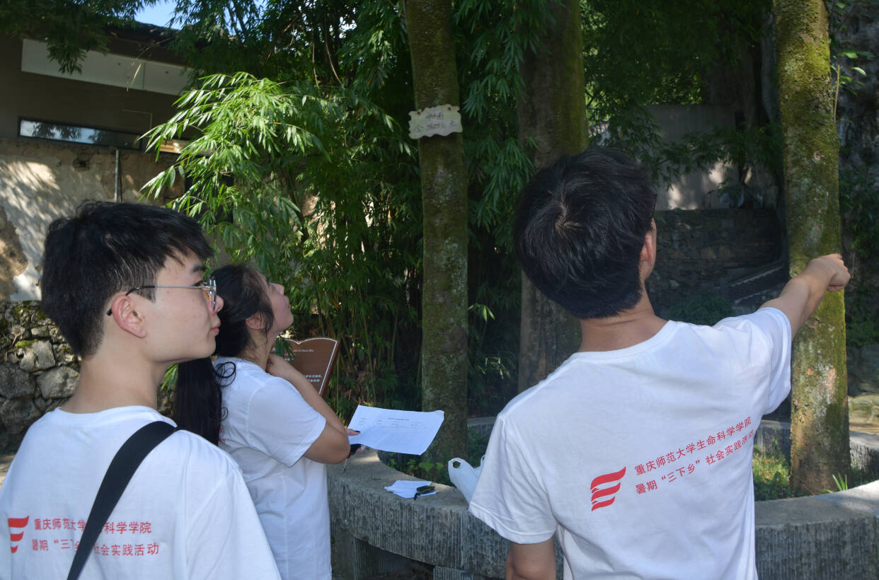 �l(xi��ng)Ұ̤���L�Ř䣬�{(di��o)�м�(x��)���q�º� �����ؑc������W(xu��)�����ƌW(xu��)�W(xu��)Ժ������������־Ը����(w��)�F(tu��n)�Ř�