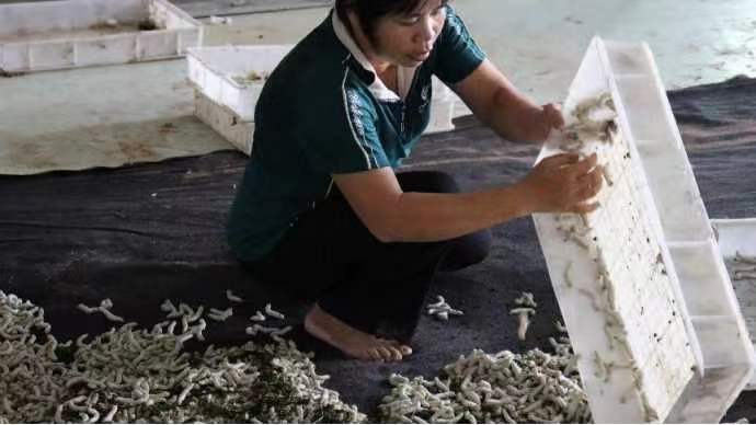 ʳɣ���L�½z���O���±M�ҷ������Qɣ