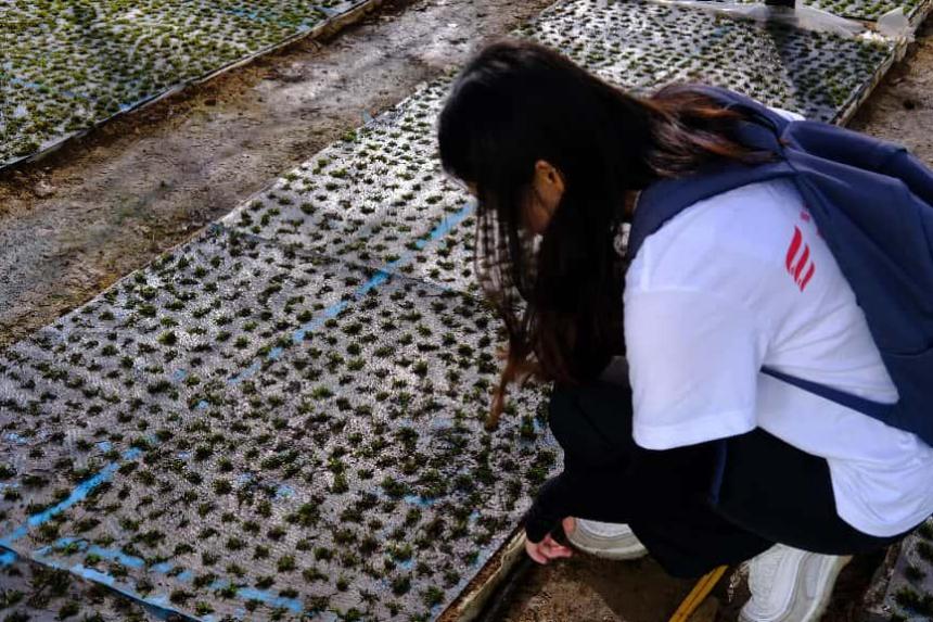 ���M����Ѿ���g���^��̽�L�l���r�I��·��