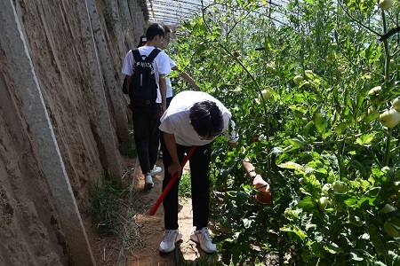 �L����W�W�������l�������Ҵ壬���l���d