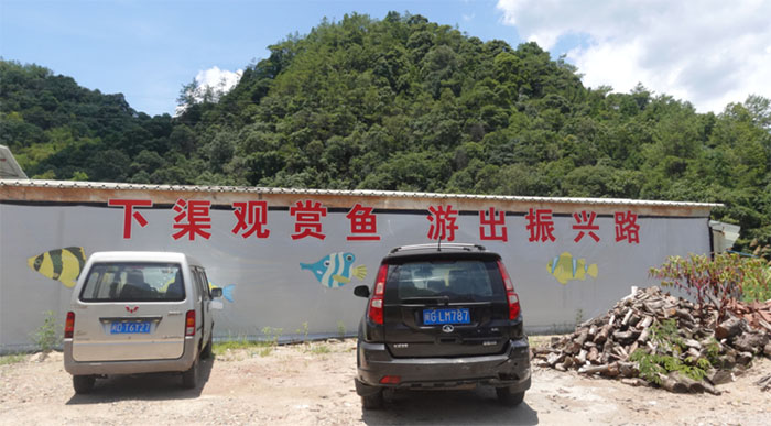 ̩�������~�����������γ�һ�l�¸�·