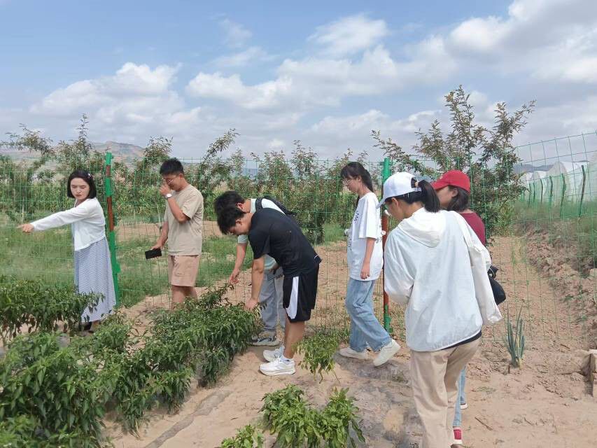 �ഺ�]���У���P������