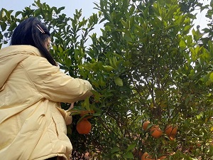 ���B���@�����l�����d