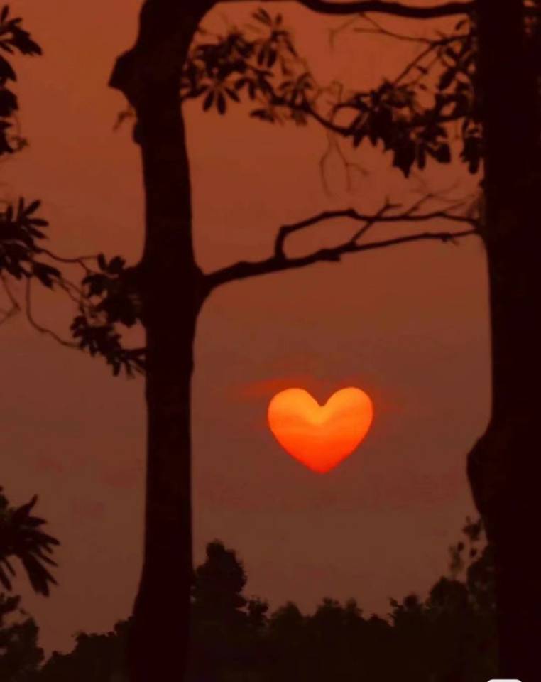 ������W(xu��)�������l(xi��ng)���T�ǻ�ϣ����ů�ª�(d��)ͯ��