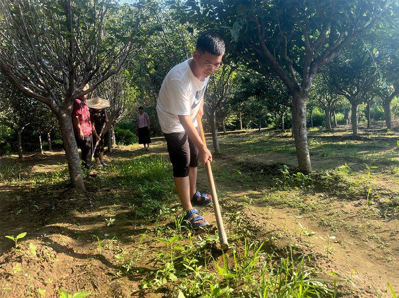 �W�ӷ��l�����l�����d