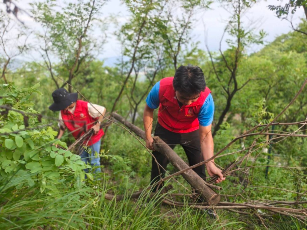 ����(�DƬʮһ)