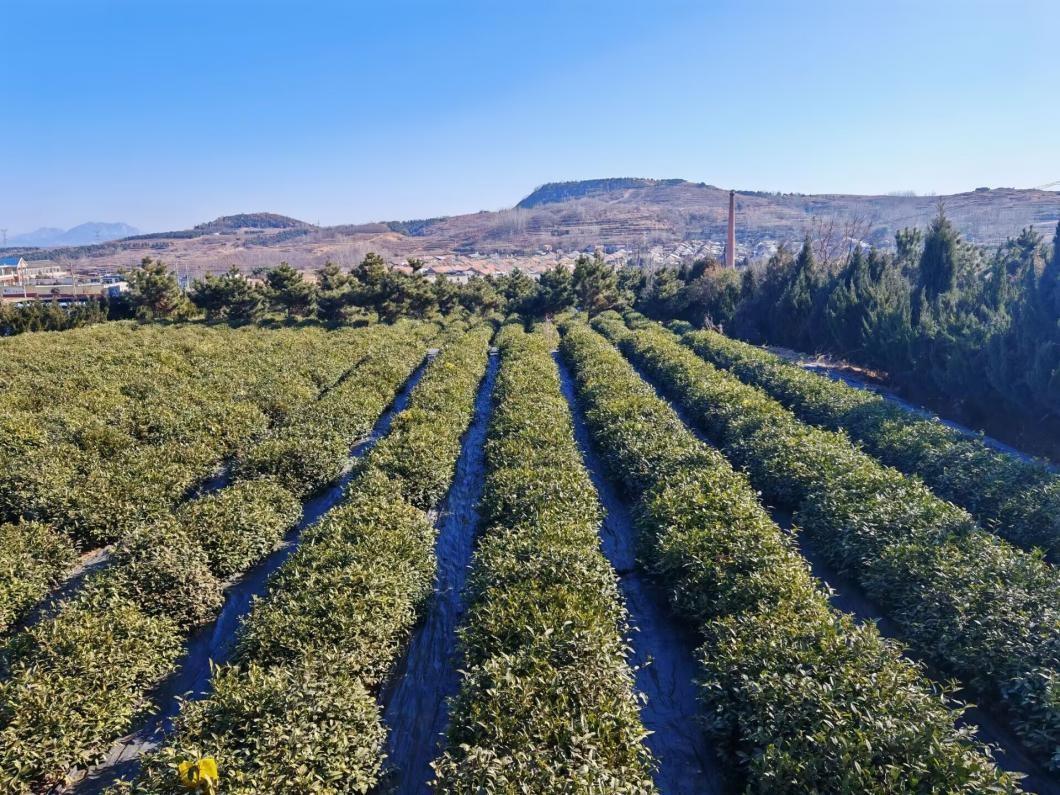 ���վG���°lչ����һ�~�衱�̽��·