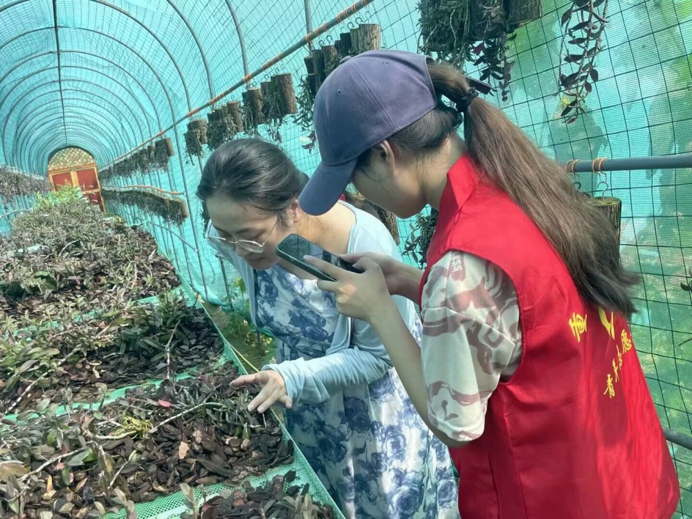 ����(�DƬʮ��)