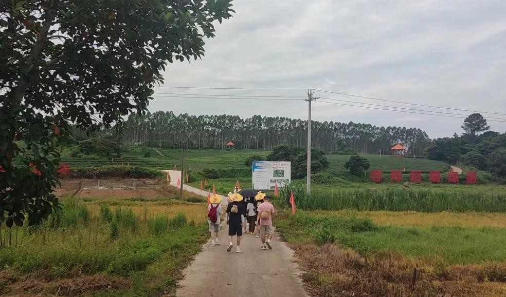 �����㣬����������W�ӏĲ�@���ܲ������