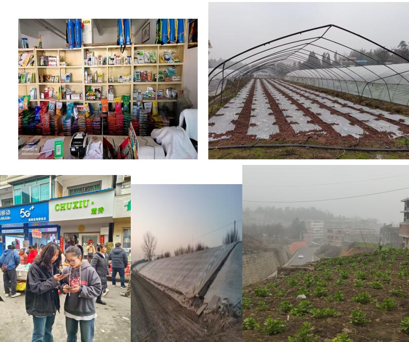 ���u�r(n��ng)�I(y��)��W(xu��)ֲ���t(y��)�W(xu��)�W(xu��)Ժ�������(hu��)��(sh��)�`���(d��ng)