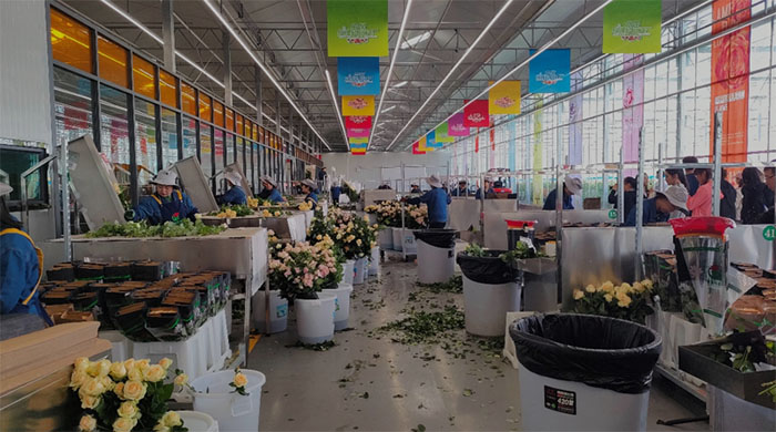 �������������l���Ƽ��x�ܣ��ˡ��ơ�����