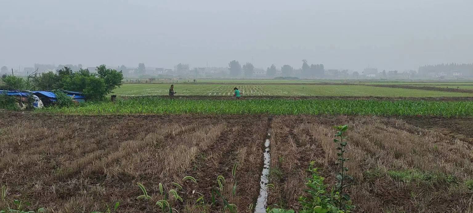 �y�ֹ��M������ͬ��