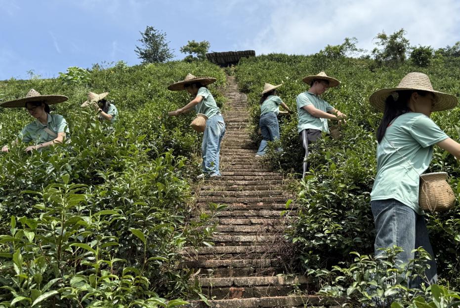 ���L�����裺�����w�ǧ���퍣��ഺ�����Ļ�����