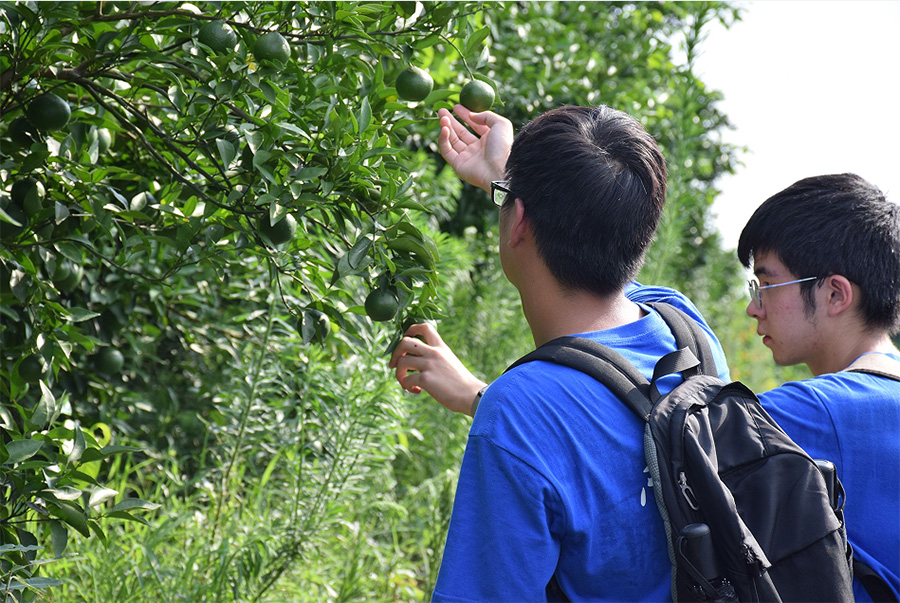 �C(j��)�������@���飬�Ƽ����r(n��ng)�d�l(xi��ng)��