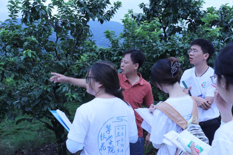 ��(sh��)�����I(l��ng)�������l(xi��ng)�������̡�����֦���W(xu��)Ժ��(sh��)����;��(sh��)�`С�(du��)���}�{(di��o)��