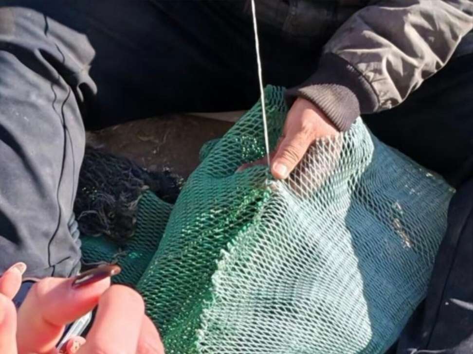 ���Տ����_���O�I�lչ�c�l����׃