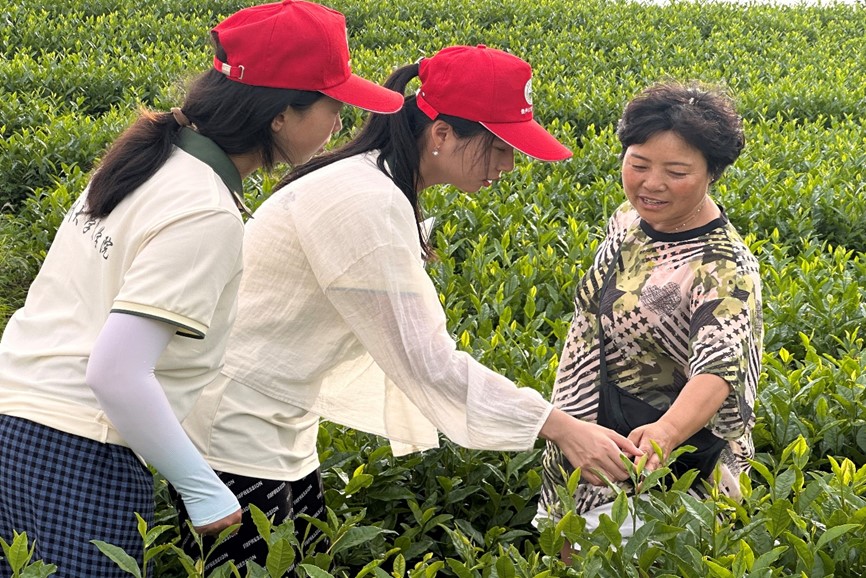 ��ؑ���S�С����`꠴�����衲�@��һƬ�~���˄��¸������ܴa��