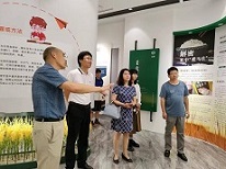 ���m�����I�̭h�������I�Ϸ��߶�����