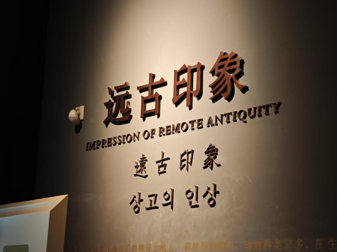 �{���ϲ����^������ǧ�����}