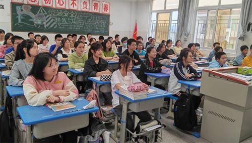 �����Q�Qȭ�̌W �������z�Ļ�