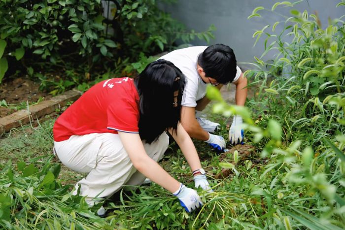 ���ƈ̹P�L��; �﹡����ůͯ��