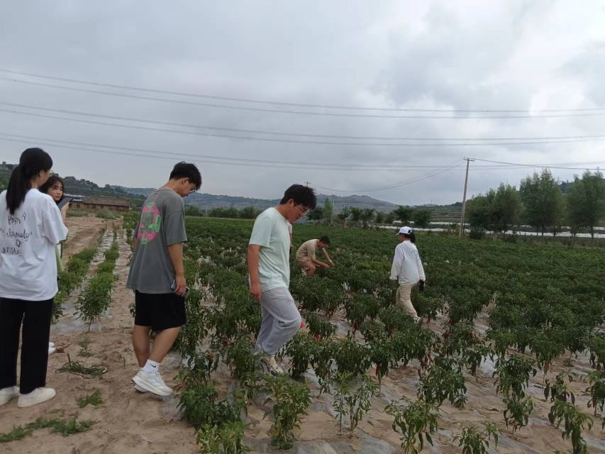 ��P�]����������ȫ���Ƅ��l�����d