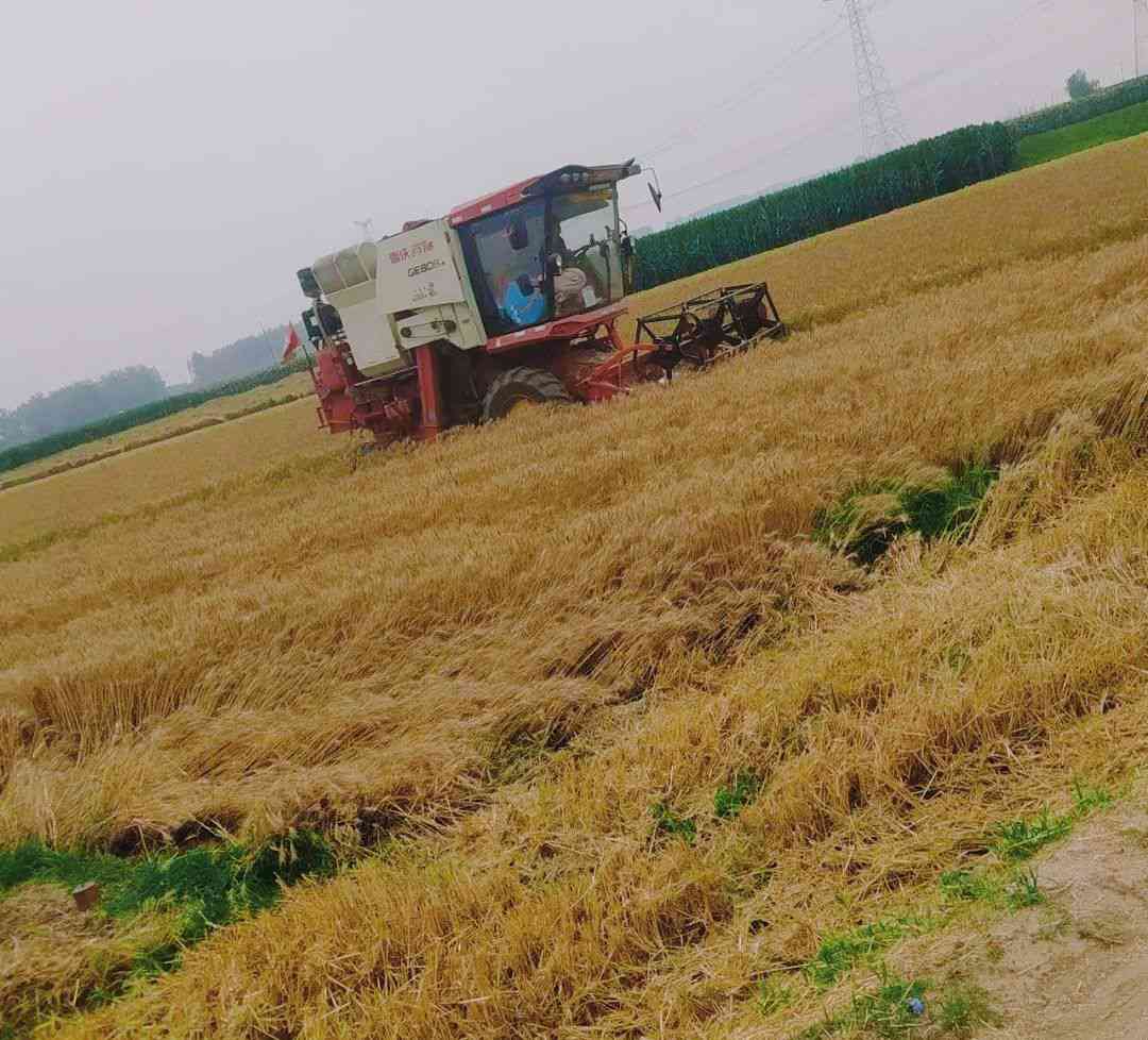 ̽���l��lչ��չ���r����ò