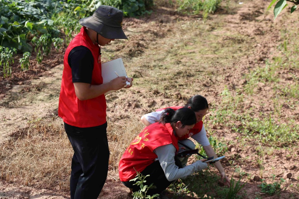 ���DƬ�ˣ�