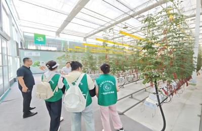 ɽ�|�W�������l��̽���۹��r�I�Ƽ����I���ǻ۷Nֲ����