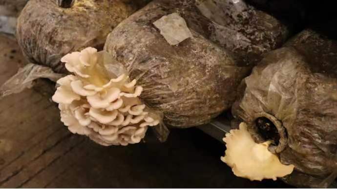 �l(f��)չ�����a(ch��n)�I(y��)�������l(xi��ng)��l(f��)չ