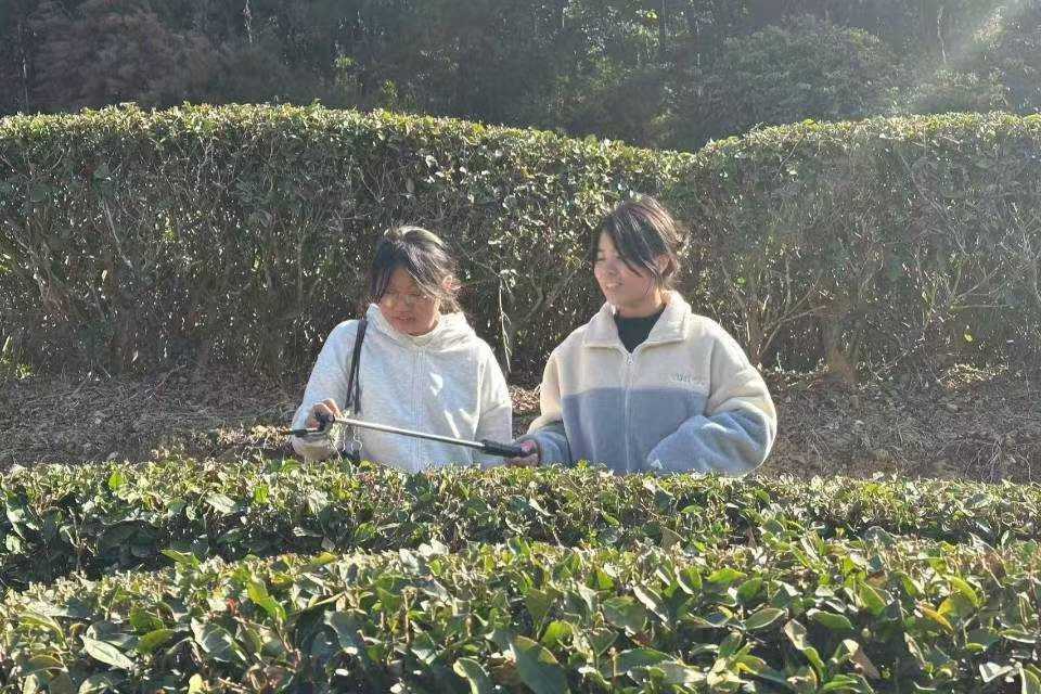 ���㆖�����V������W�������ƽ��ɽ���� �������i�a�I�lչ�ܴa  