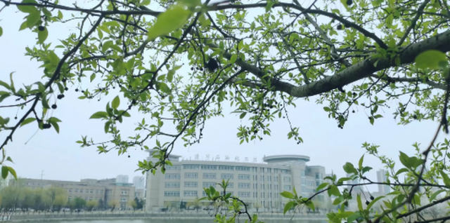 �|��ʯ�ͻ�����W���������깝������Ƭ�����