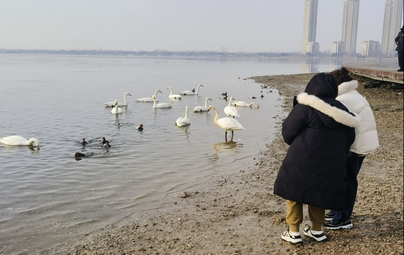 ̽���������������������{ɫ�����lչ