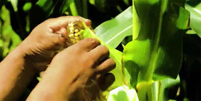 μ��悟��l�����������a�I���d��������δ����