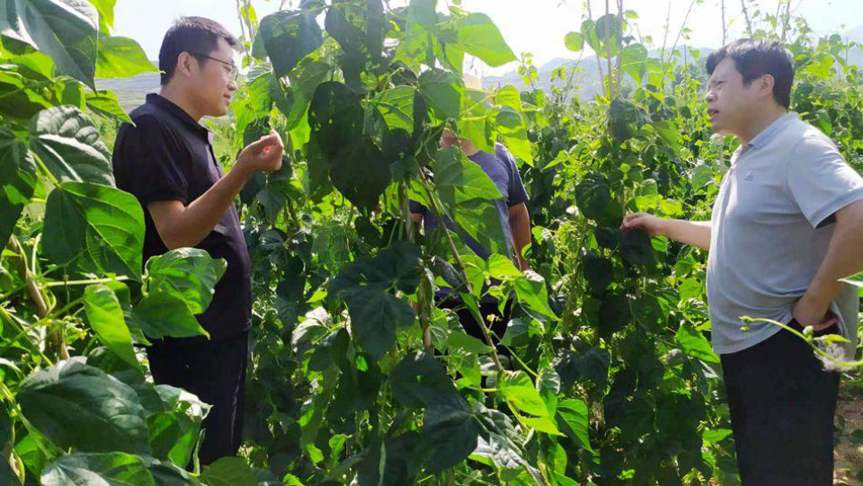 ���ܶ��S�ղ�ժæ���l�����d�a�I�������m��W����