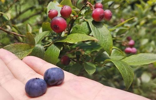 ����W�������l���M�Ї��ع����}���@